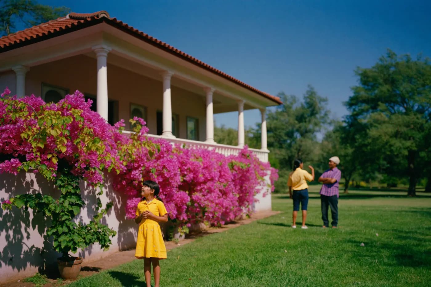 A sunlit army cantonment bungalow draped in bougainvillea, a young girl in the garden while her parents talk nearby